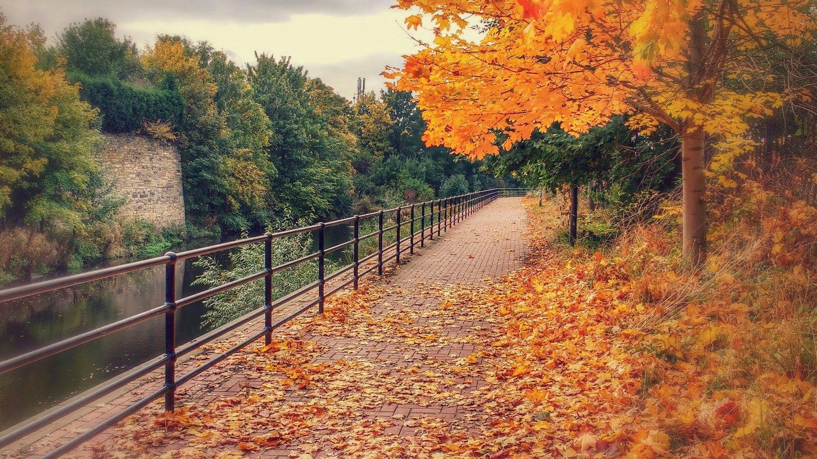 Five Weirs Walk Sheffield