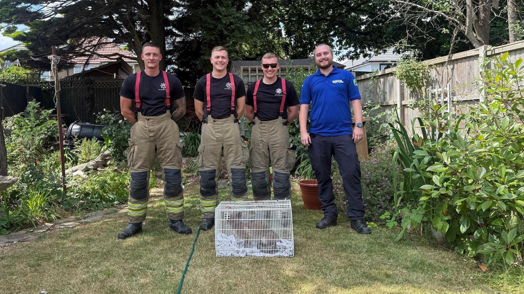 Three male firefighters are stood together in a garden next to a man in a blue shirt. All four are smiling. A fox is sat in a small white cage on the lawn in front of them.