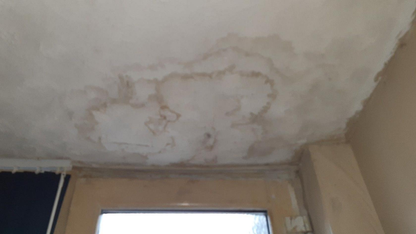 Damp and mould growing on a white ceiling