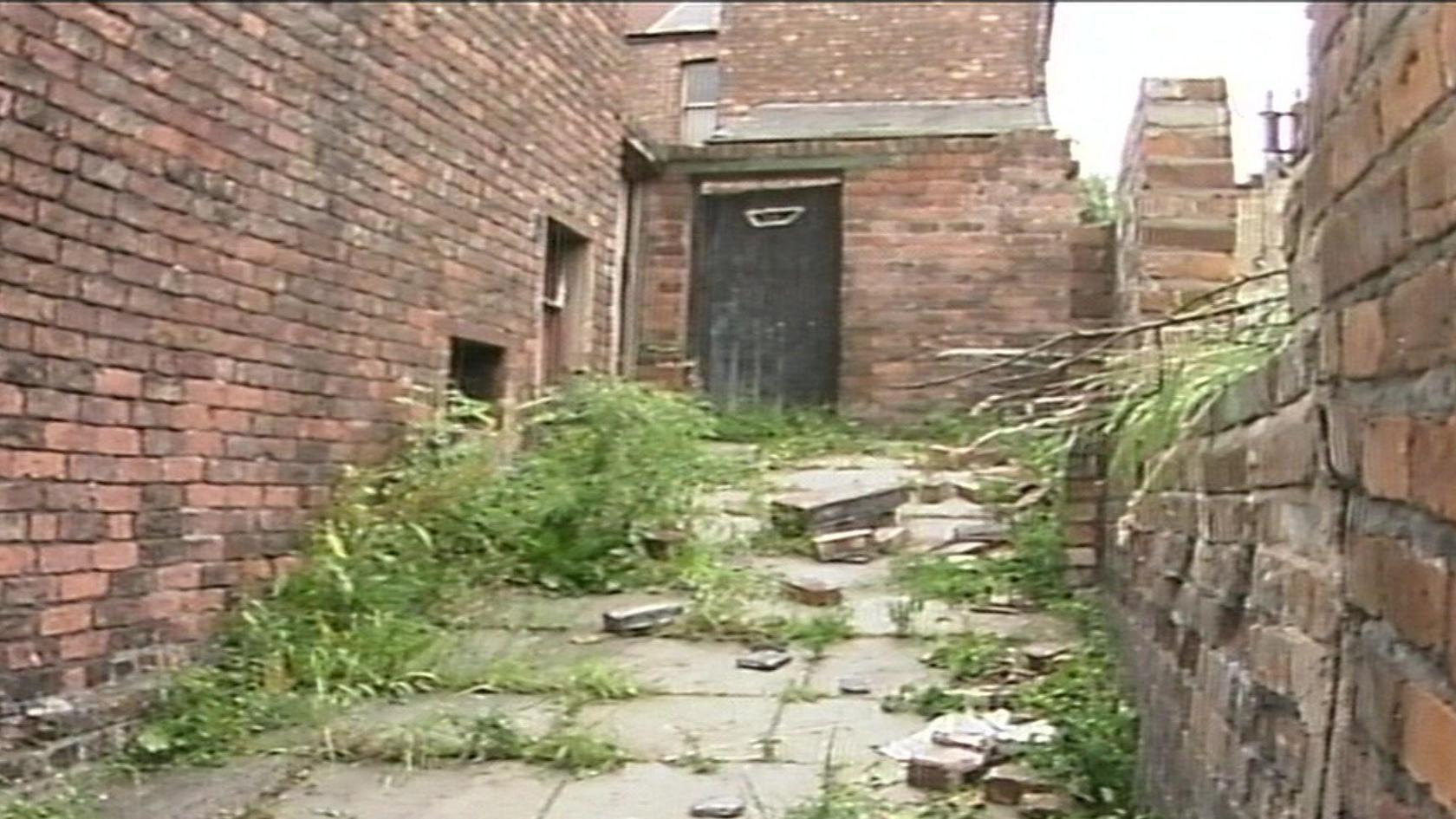 An overgrown alley bordered by a crumbling brick wall, with a black wooden gate at its far end