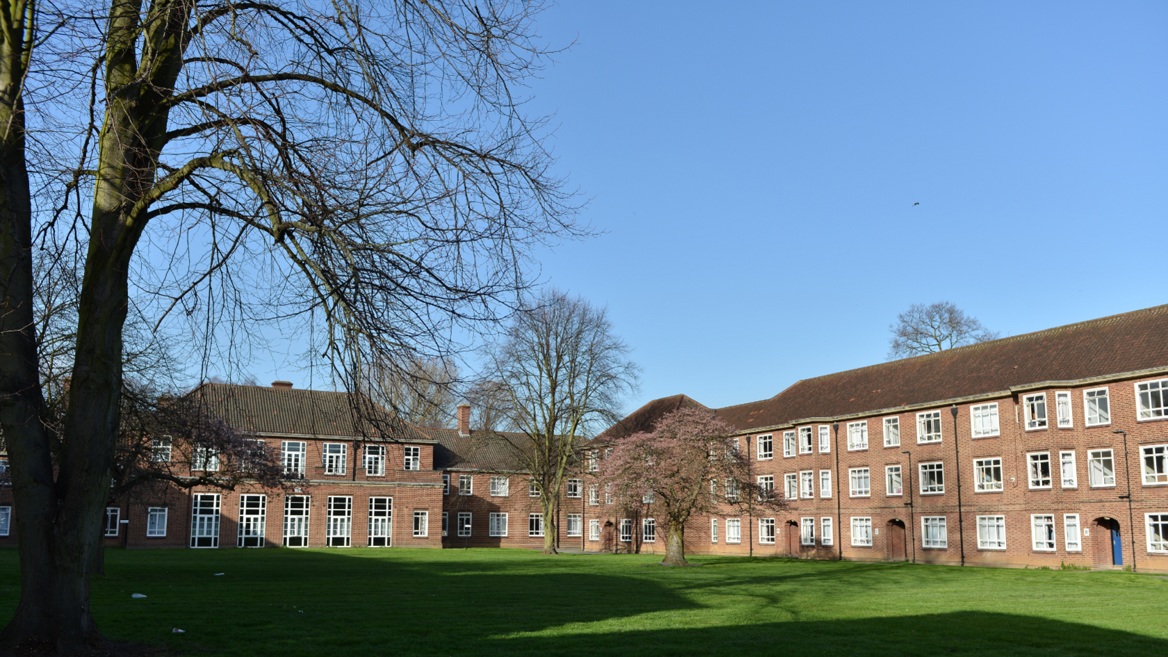 Brick building with multiple white windows across three storeys. There is a grassed areas and four trees.