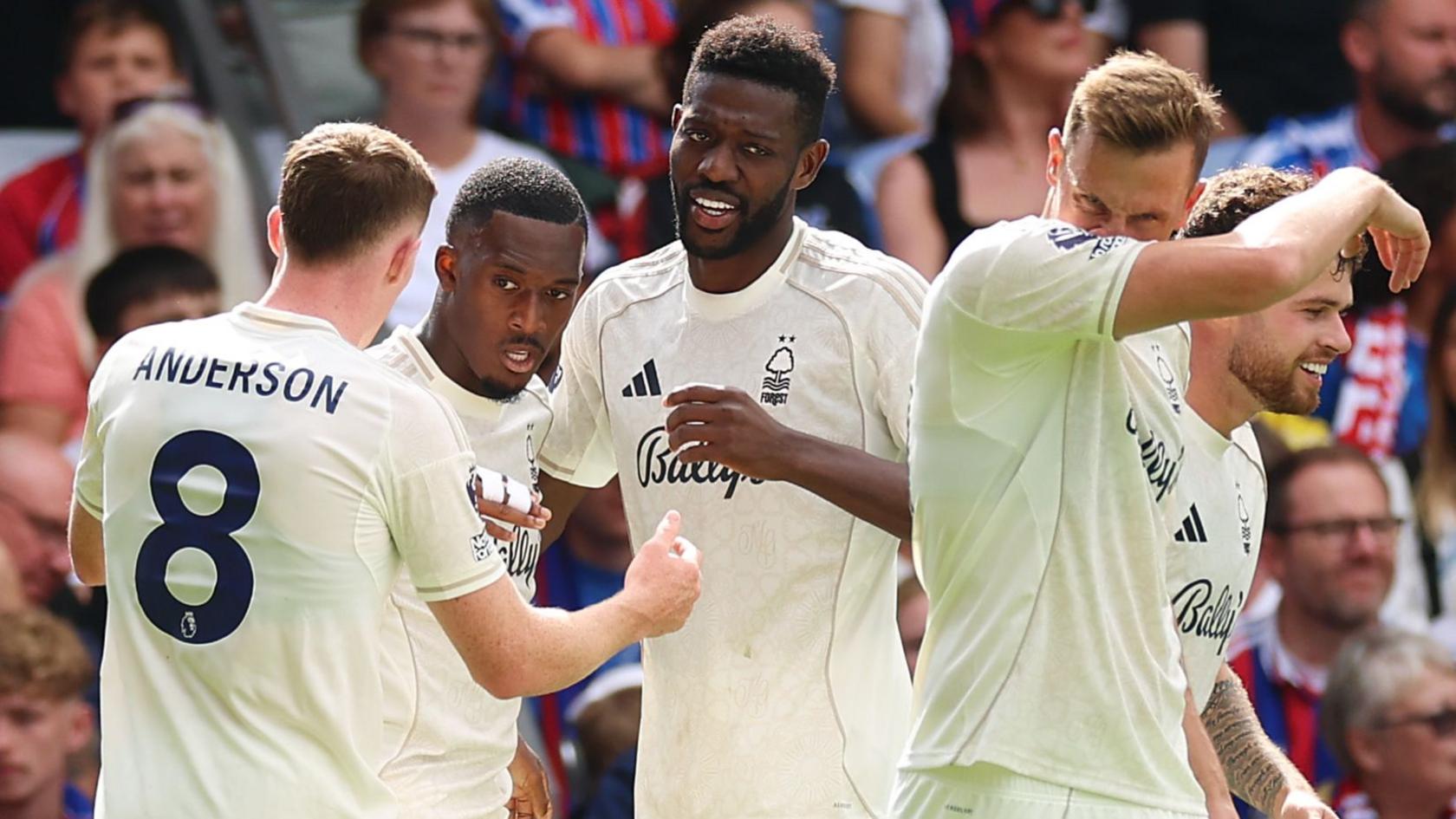 Forest celebrate