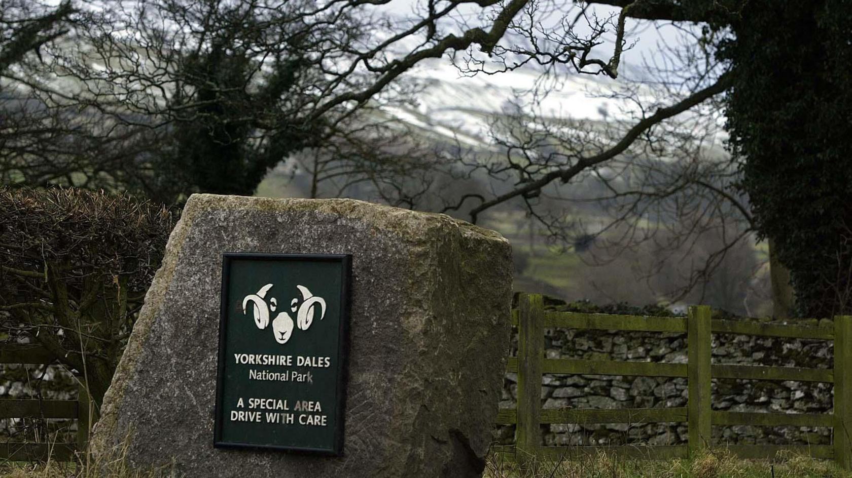 A sign showing a ram's head: the logo of the Yorkshire Dales National Park on a large rock. Behind is a fence and dry stone wall. 