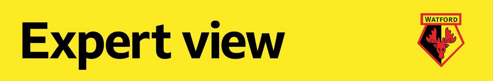 Watford expert view banner