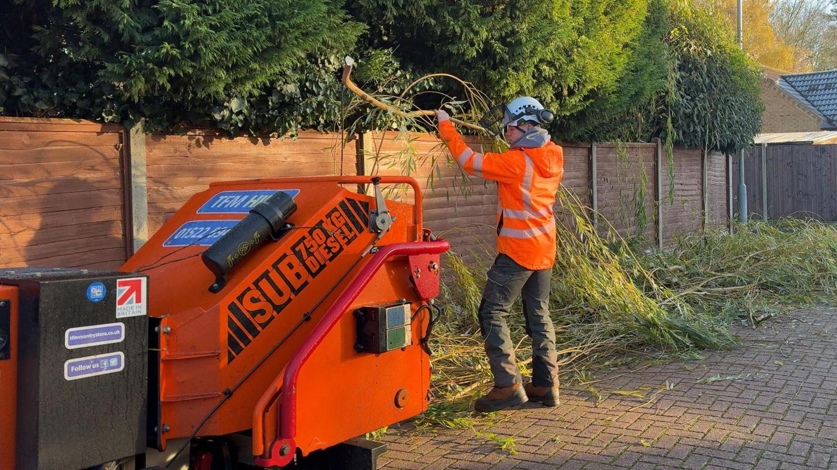 A man holds a large willow branch as he stands next to a bright orange wood chipper with blue "hire" stickers on it. Large bundles of branches are piled up nearby. Behind the wood chipper is a long wooden fence, with green trees standing behind it.