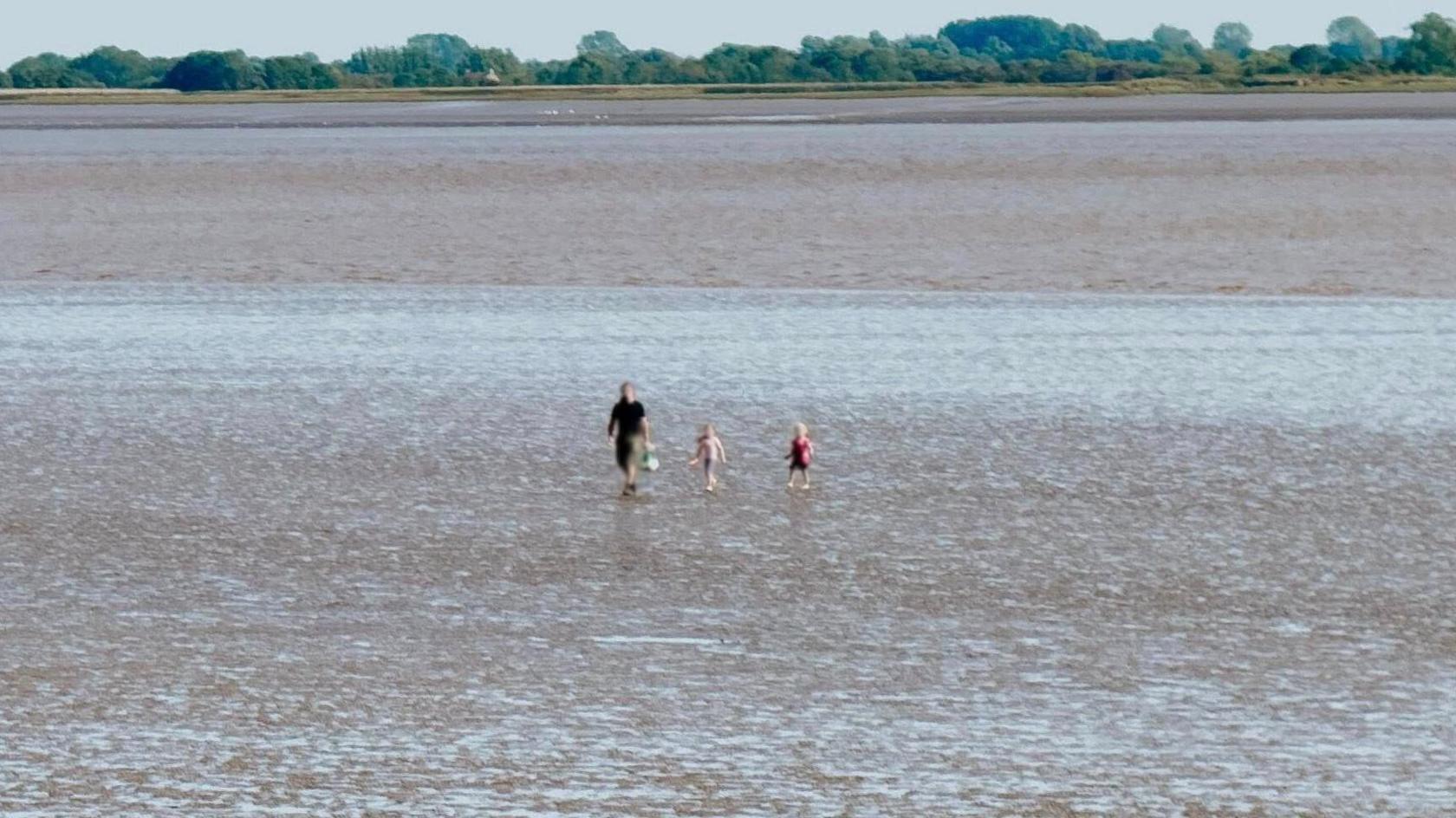 A man in a black T-shirt and khaki shorts with two children, one wearing pink and the other red, walking in the middle of a sandbank. The tide is a long way out and they are surrounded by mud. A row of green trees lines the bank on the far side of the river.
