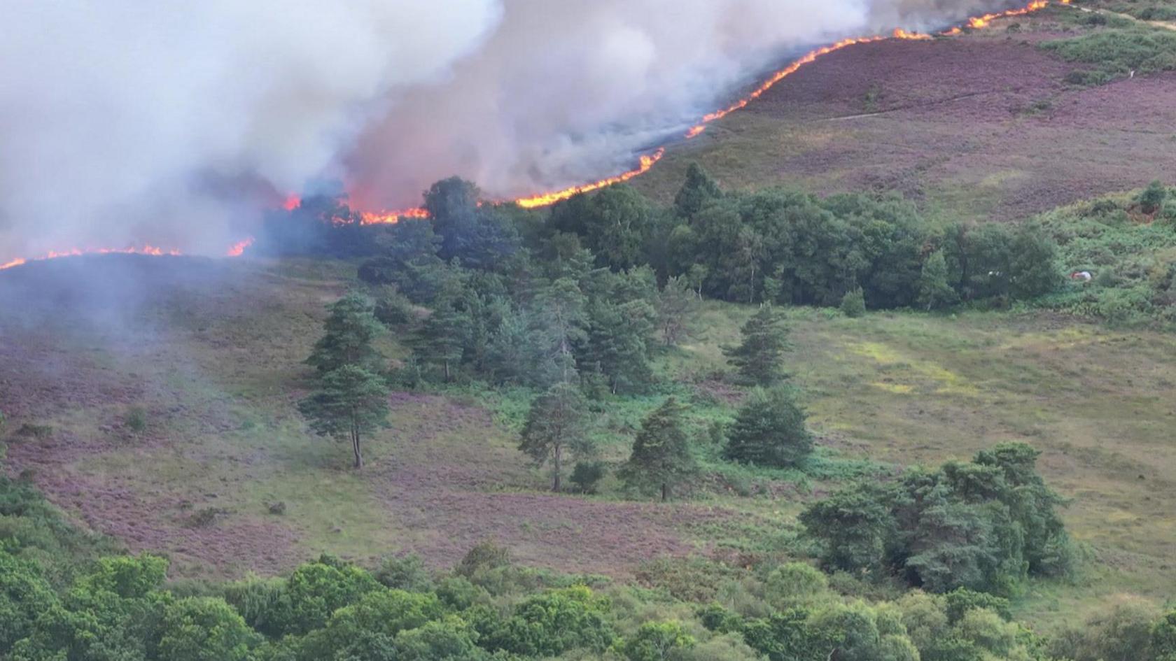 Orange and red flames in the trees and white smoke flowing up into the sky can be seen for several miles.
