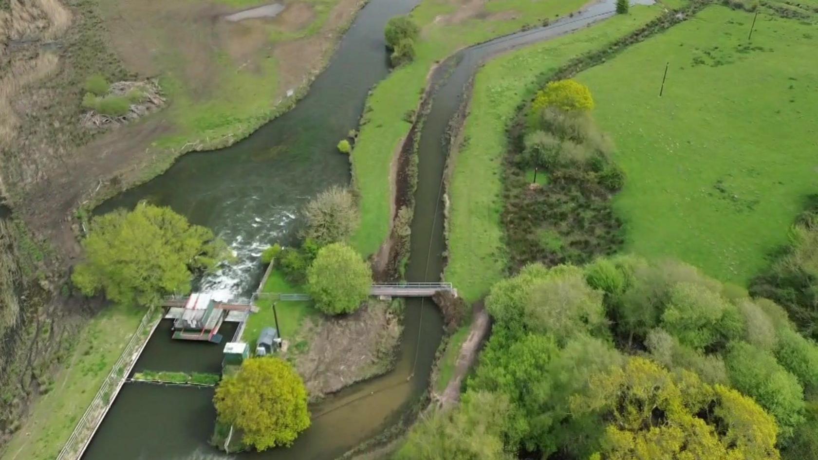 Aerial view of the River Frome divided into two channels surrounded by green fields and trees