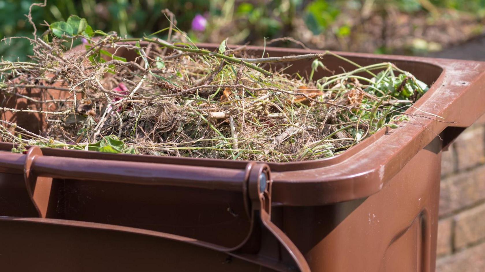 Brown bin full of garden waste