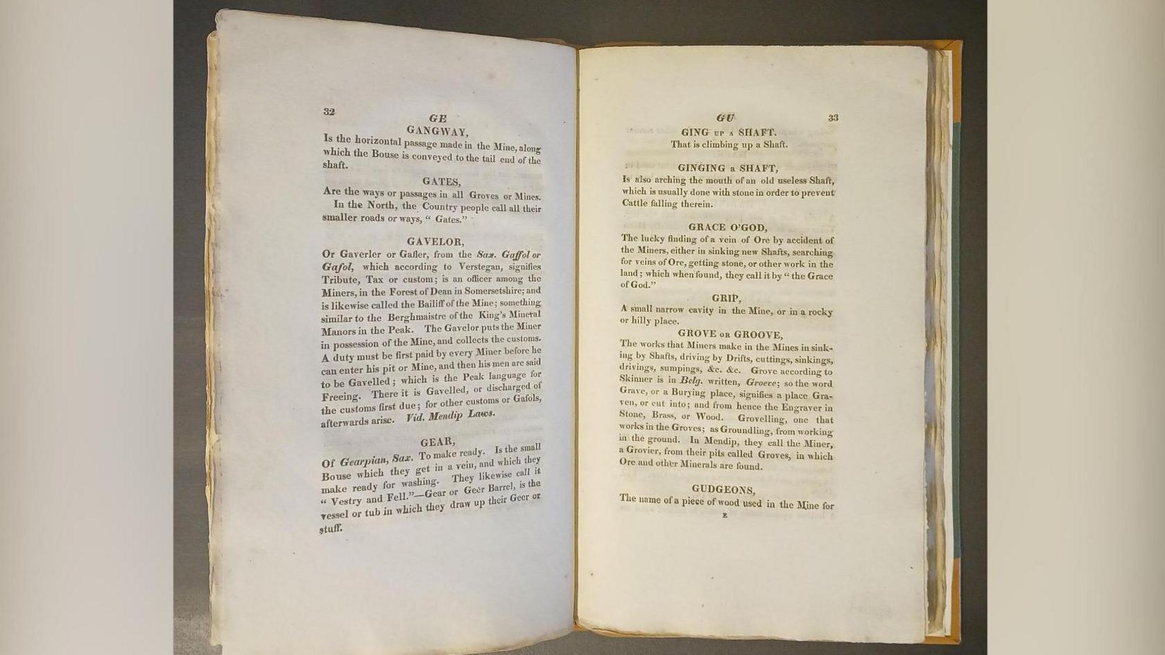 The inside of the dictionary which shows a white page and different terms in black ink