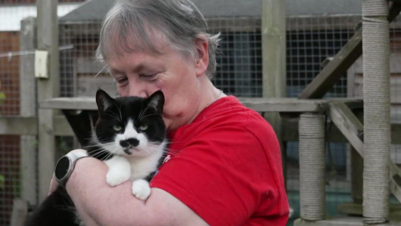 A woman with grey, short hair, wearing a red t-shirt, holds the black and white cat Spud in her arms and is kissing his head. She is standing in a garden and behind her is a large cat scratching post and climbing frame made from wood and chicken wire. It is a cloudy day.