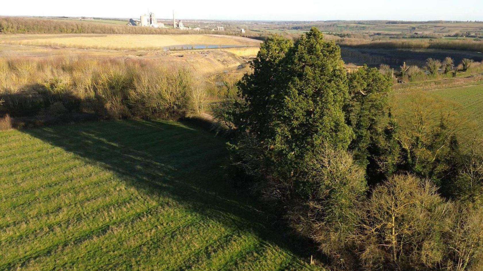 The trees in the foreground and the quarry and cement works on the horizon