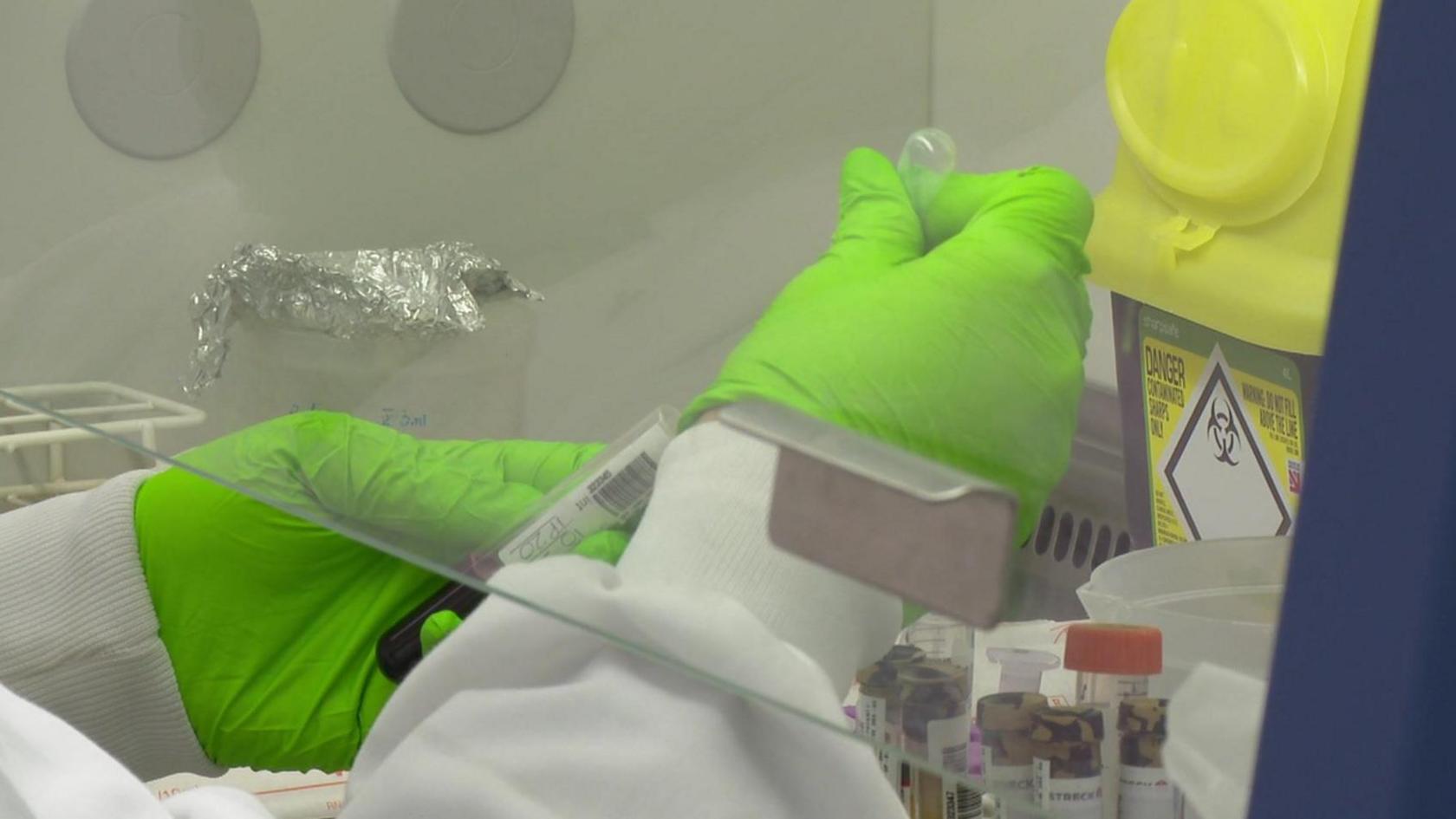 Gloved hands of a researcher handling test tube samples