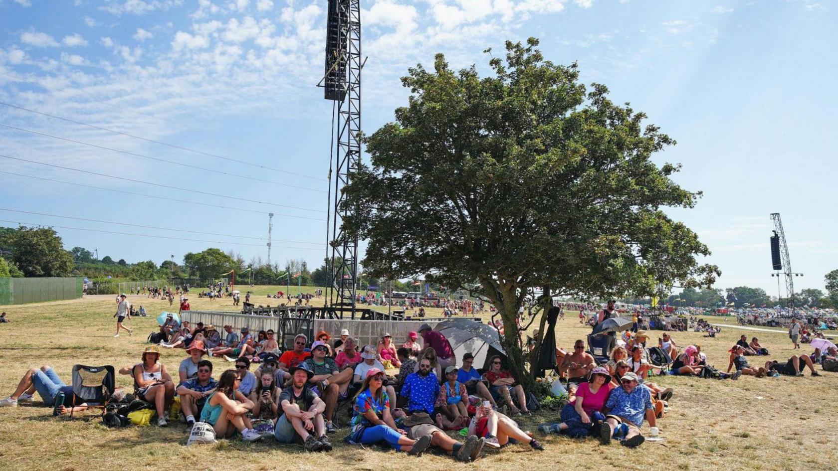 A large group of people gathered underneath the shade of a tree at Glastonbury festival. The grass around them has been scorched by the heat into a golden brown colour.