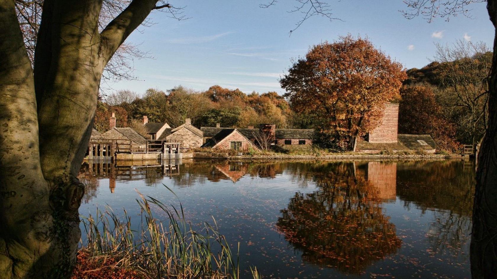 An autumn image with trees and vegetation alongside water in a dam, with buildings in the background under a blue sky.