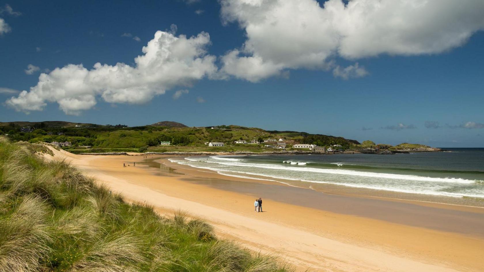 A wide shot of a beach on a sunny day. From left to right you can see long grass on sand dunes, a golden beach with people walking in the distance and then water. In the distance you can see greenery and houses.