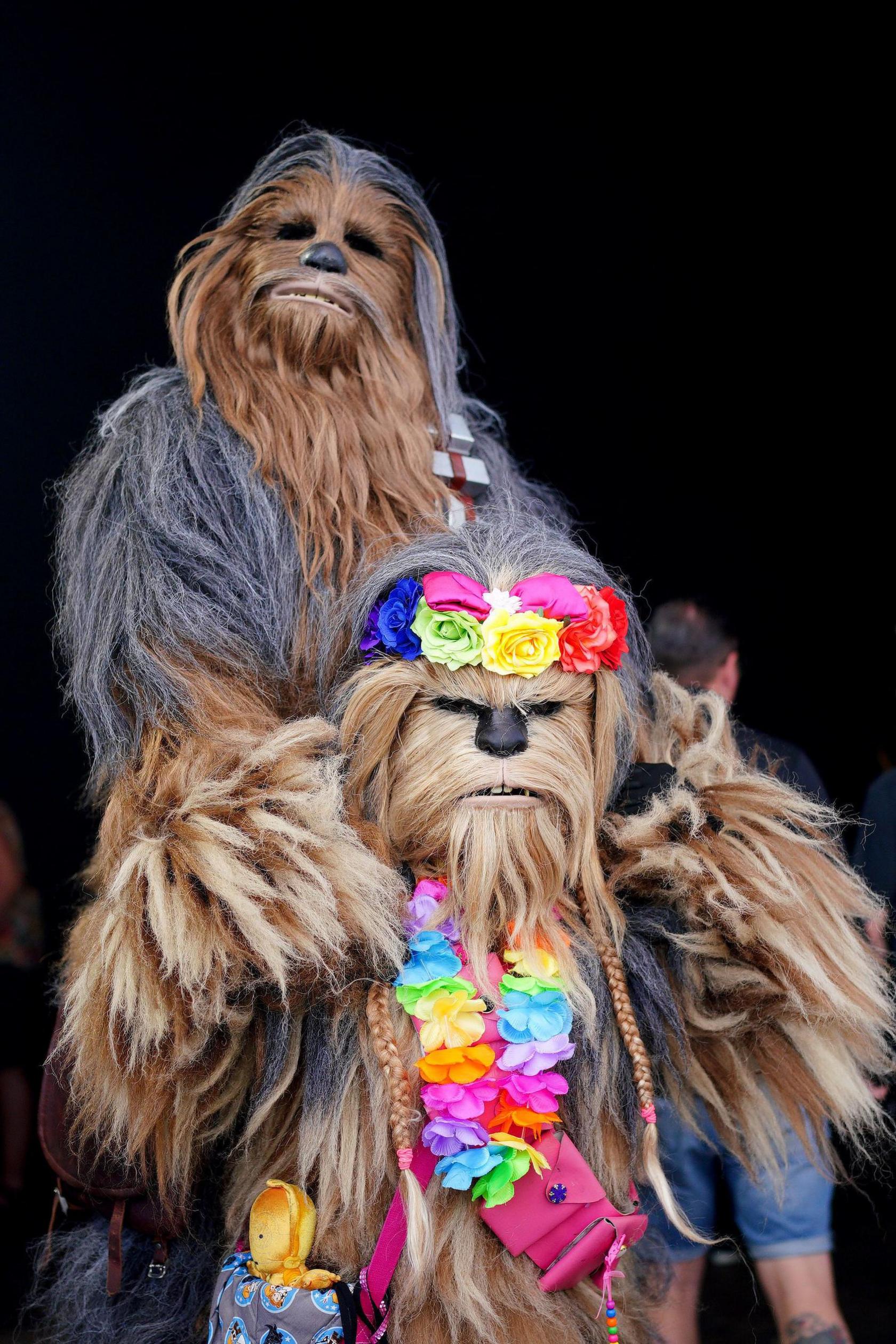 Two people dressed as Wookies from Star Wars, one on the shoulders of another – both are covered in fur from head to toe. The one below has a brightly coloured Hawaiian lay around their neck