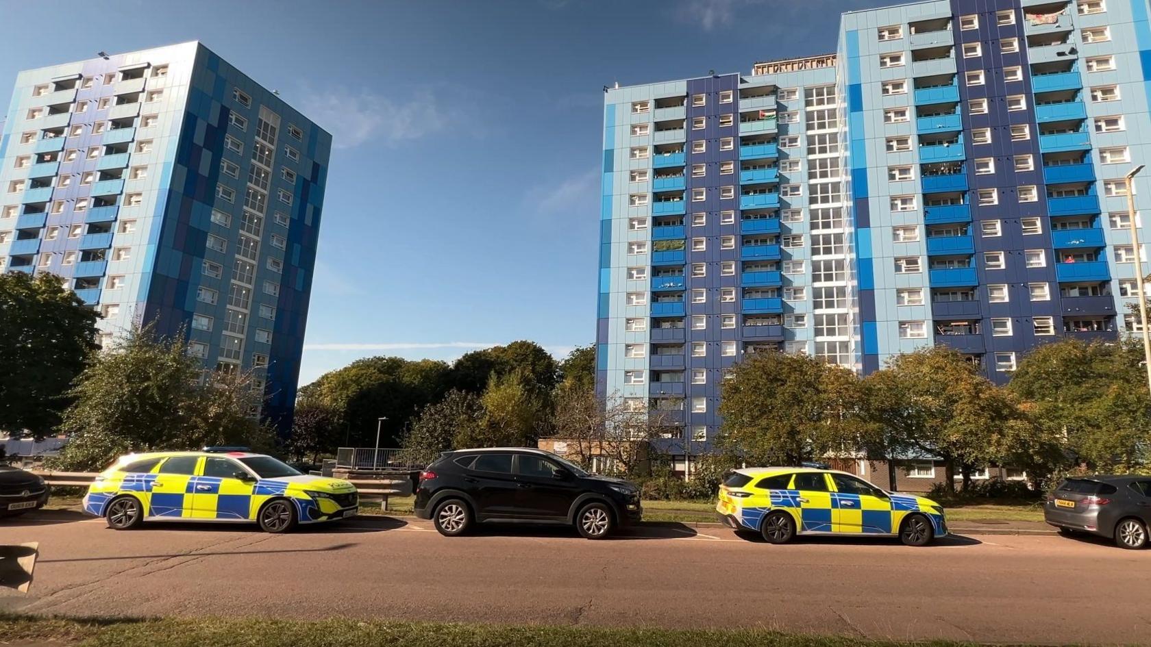 Two police cars are parked in Marsh Farm outside the blue Leabank block of flats
