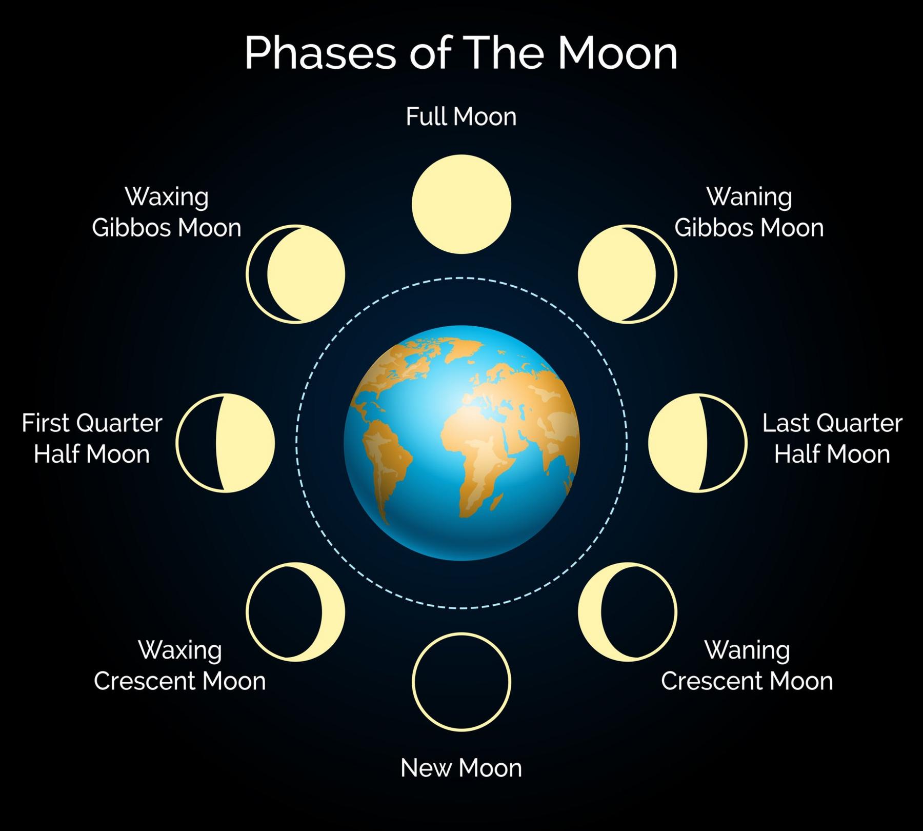 moon-cycle.