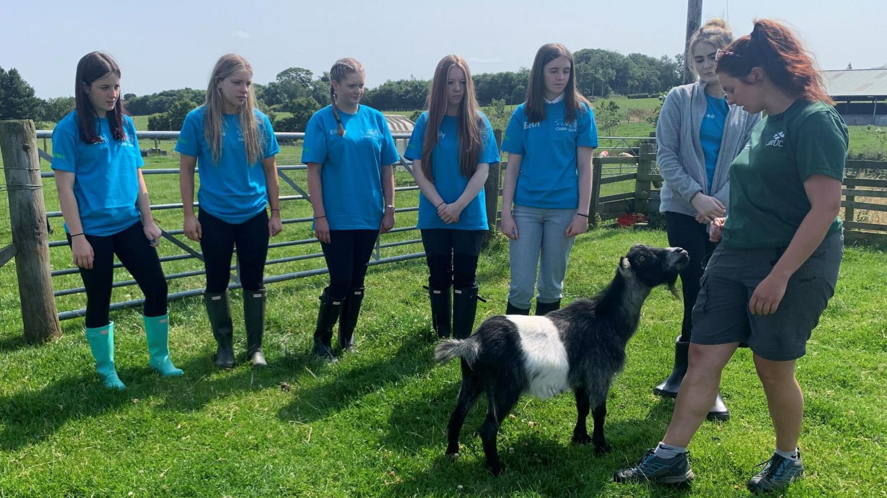 Some children looking at a goat