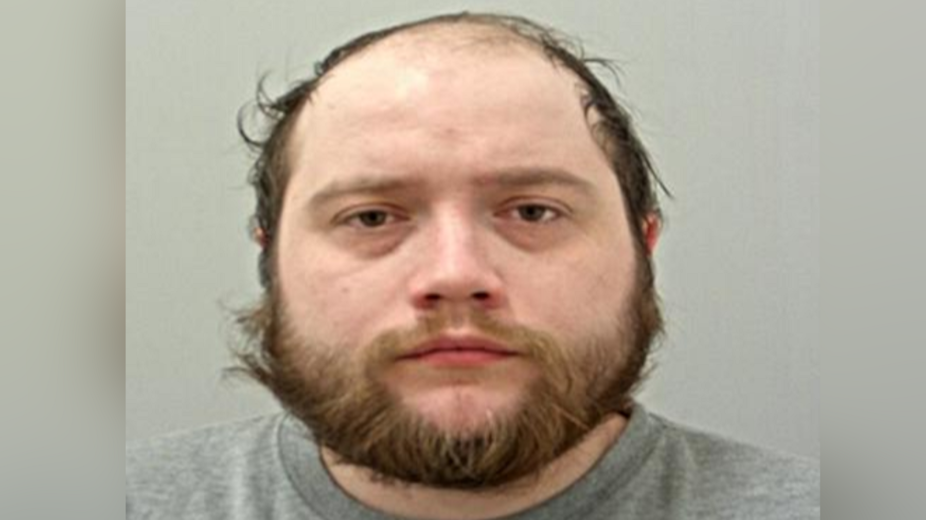 Custody photo of Dylan Saville wearing a grey sweatshirt while against a light grey background. He has lots of brown facial hair and brown eyes.
