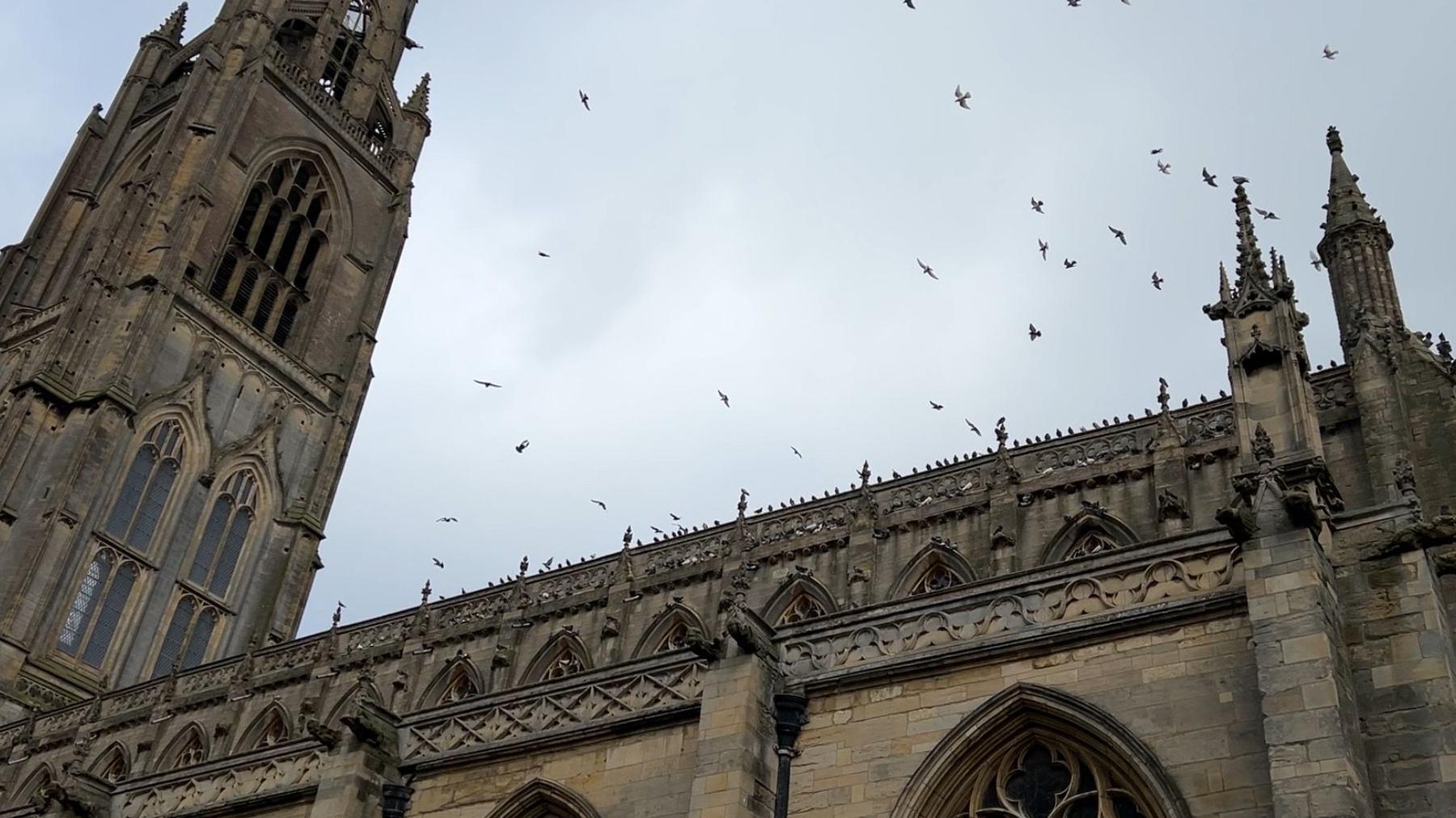 Birds flying high over the roof of St Botolph's Church, with the tower, known as Boston Stump, to the left of the shot

