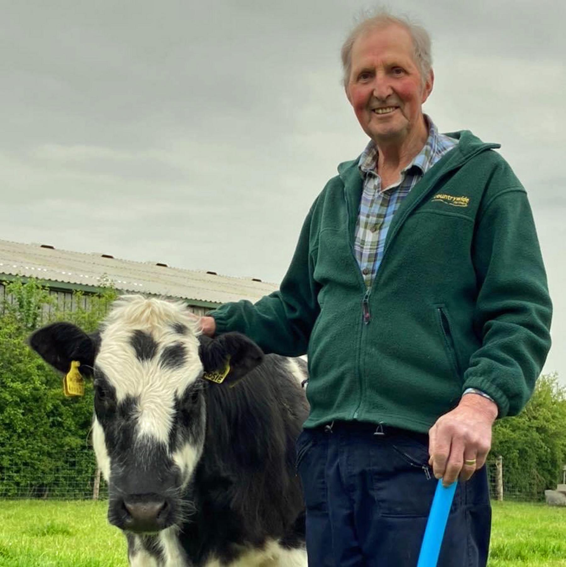 Emyr and one of his cows