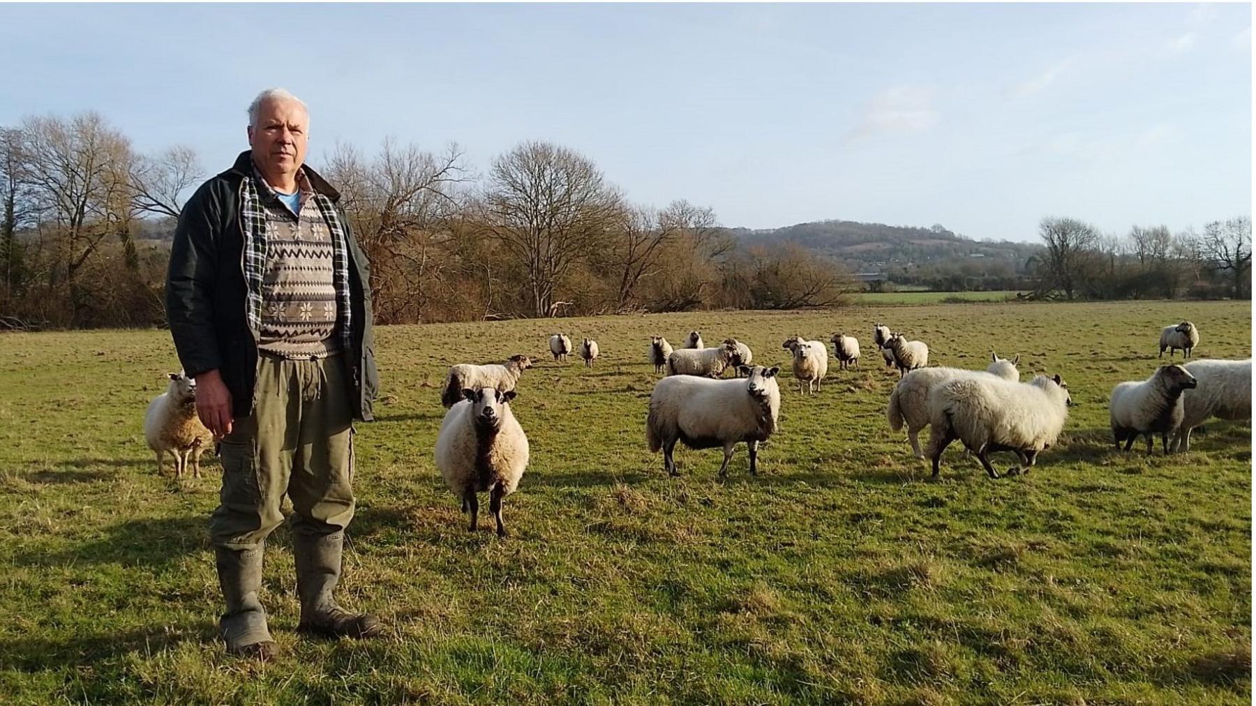 A famer with some of his sheep in a field