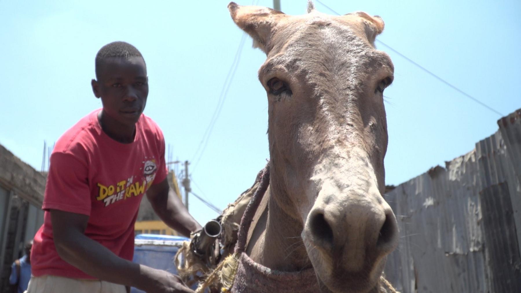 Antonio and donkey