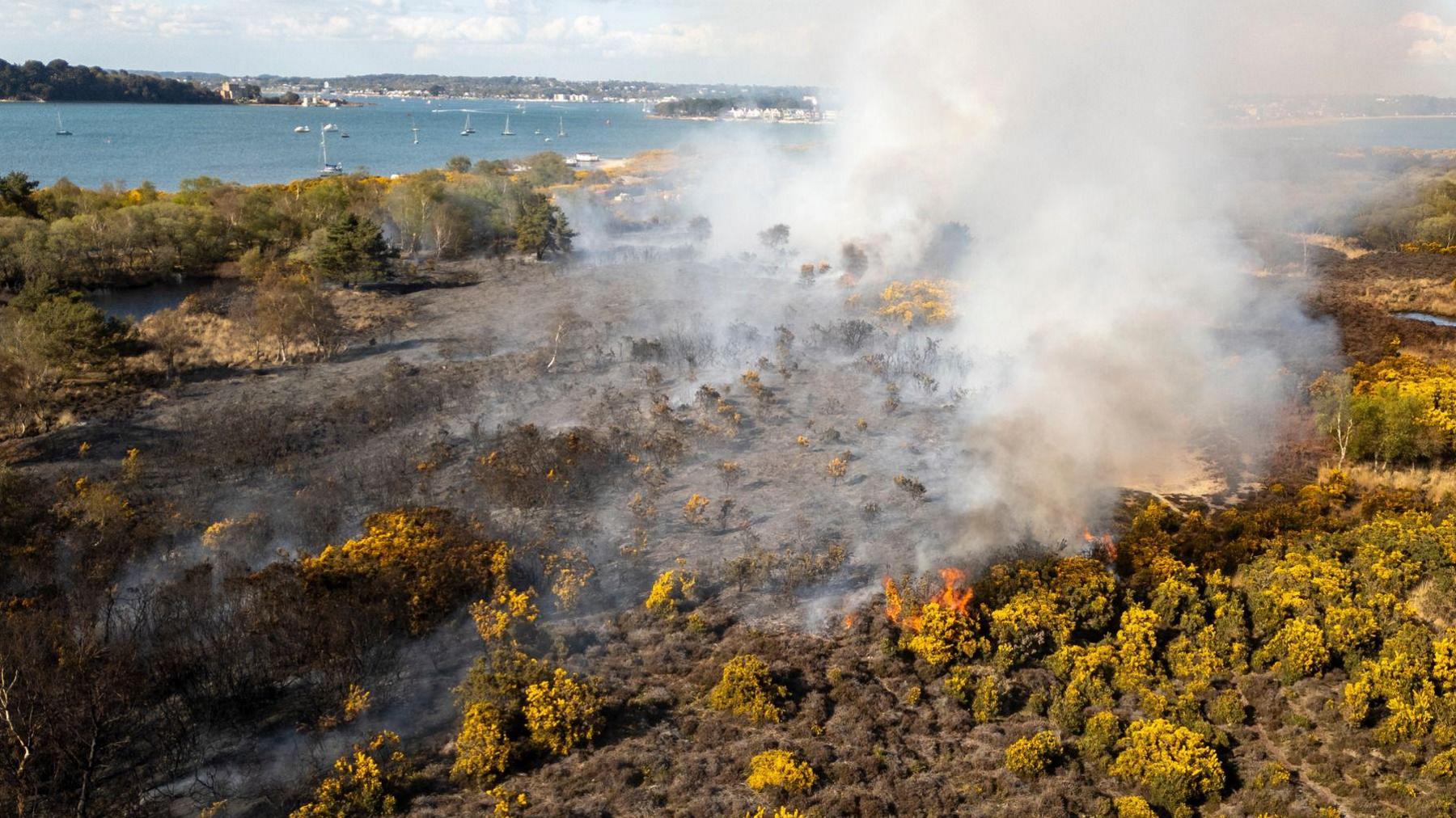 Aerial view of fire on heathland, made up of green brush and bushes. A large section has been burnt out, leaving the ground blackened. In the background, seawater and yachts