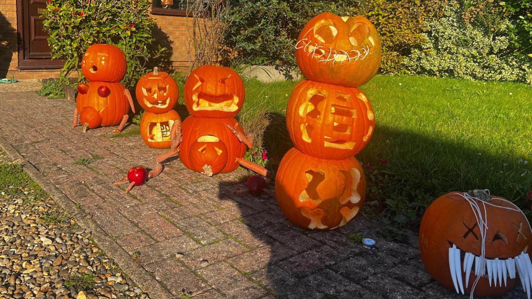 A Halloween pumpkin display lined up on a garden path. There are two pumpkins which appear to be giving birth to baby pumpkins. The footpath leads to a front door on the left of the picture. The path goes through a garden which has grass, shrubs and bushes.