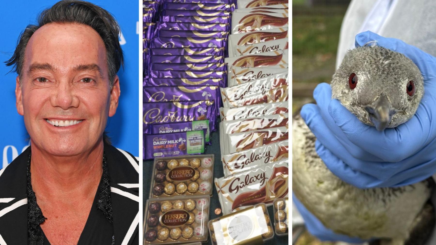An edited composite image of Craig Revel Horwood a large pile of chocolate and a seabird