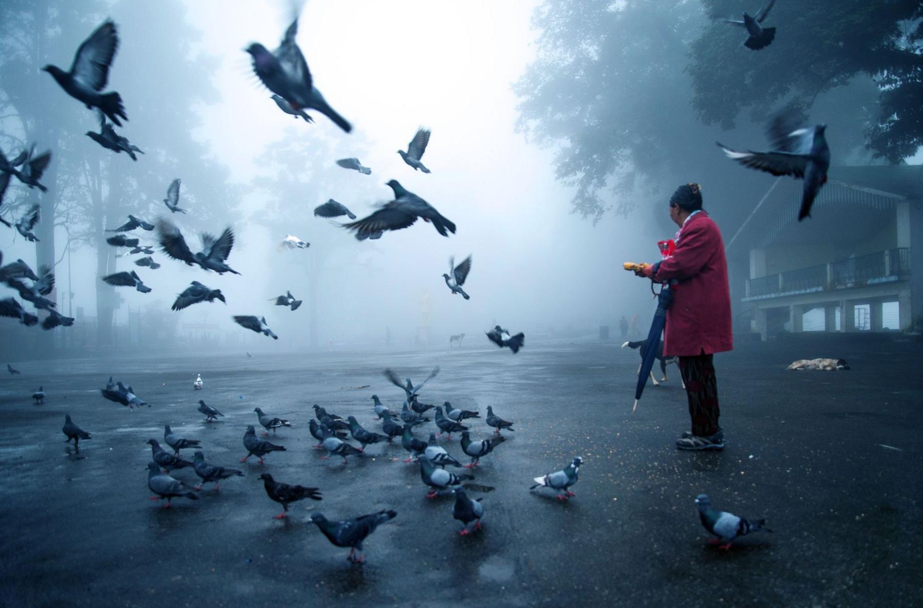 A woman feeds pigeons in a foggy street. The woman is in a red coat and she is carrying a long, black umbrella. The red of her coat stands out against the rest of the image which is monochrome and shows birds all around the woman, on the ground and in the air. There is a chalet-style building to the right of the woman.