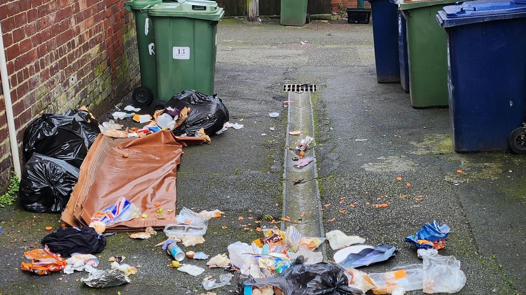 Rubbish strewn across an alleyway