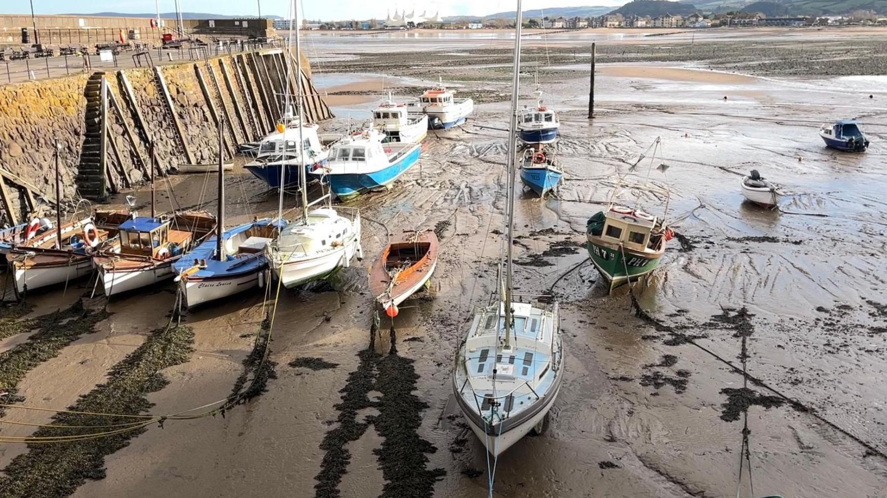 Photograph of a muddy Minehead harbour at low tide. There are 14 boats dotted about the mud and chained to the harbour bed. In the background is Minehead seafront. On the left of the photo is the edge of the harbour wall.