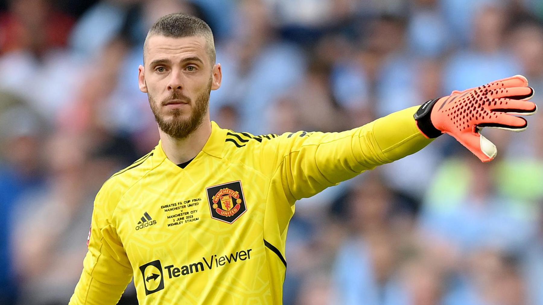 David de Gea: Spanish keeper signs for Serie A side Fiorentina - BBC Sport