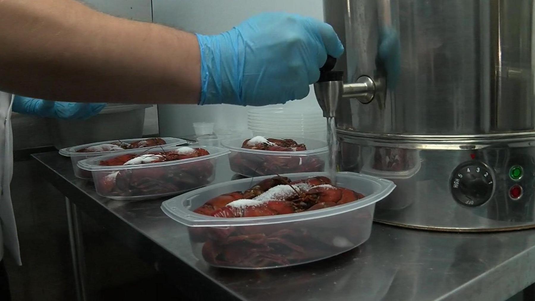 A metal worktop with four plastic oval shaped containers which each have red crayfish inside, they look like they've been frozen and there is a blue gloved hand switching on a water tap to fill up the container