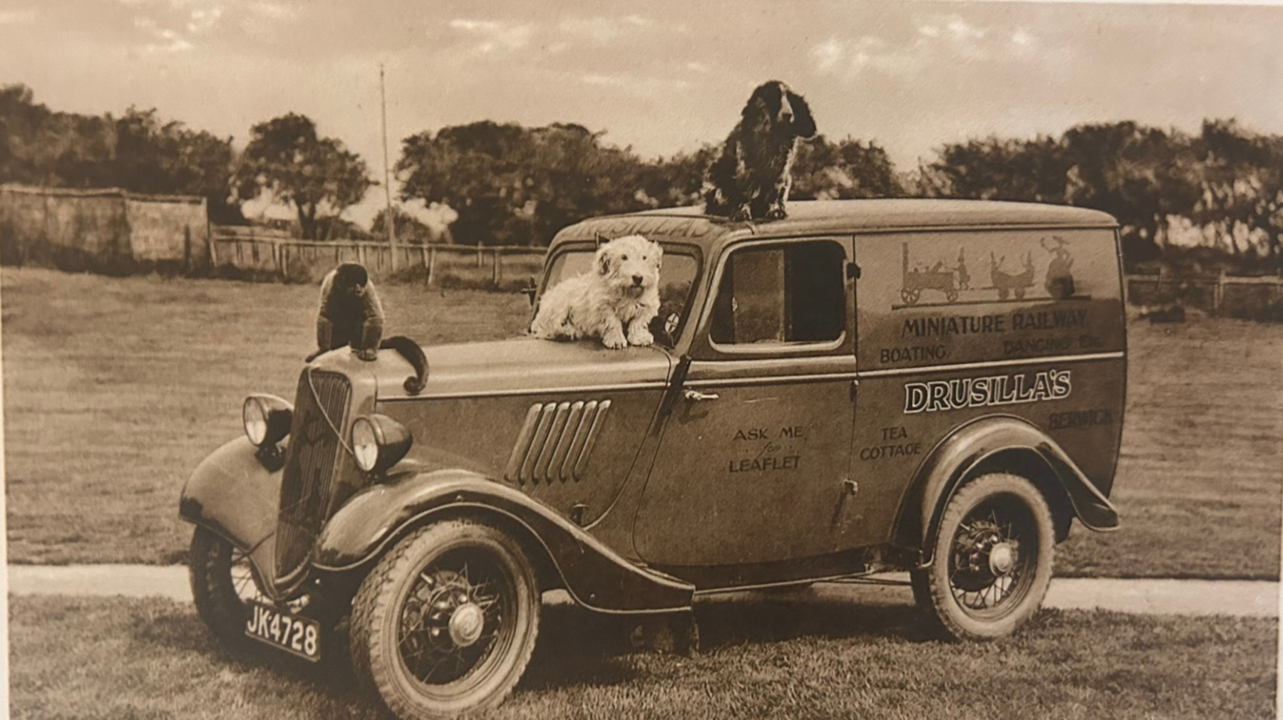 A black and white image of a Drusillas car with dogs and monkeys on it. The car has a spaniel-like dog sat on the roof, a white terrier-like dog sat in front of the windscreen and a monkey sat on the bonnet. 