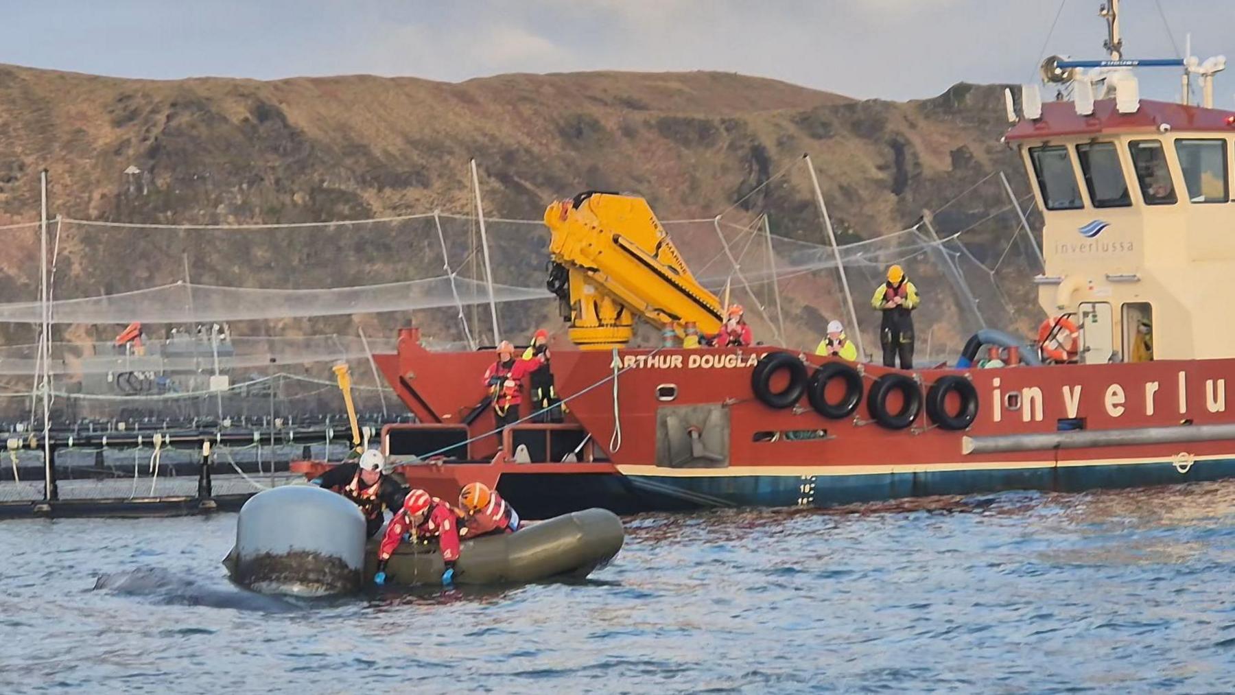 Rescuers reach down from an inflatable boat to where the whale is tangled with a boy. There is a red and yellow fish farm boat behind them.