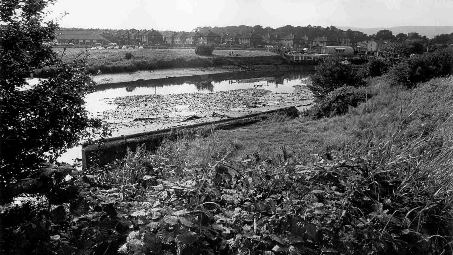 A black and white photo of the area by the River Lagan where Brian's body was discovered in 1973. The image shows a lot of grass and bushy areas close to the water and some houses behind.