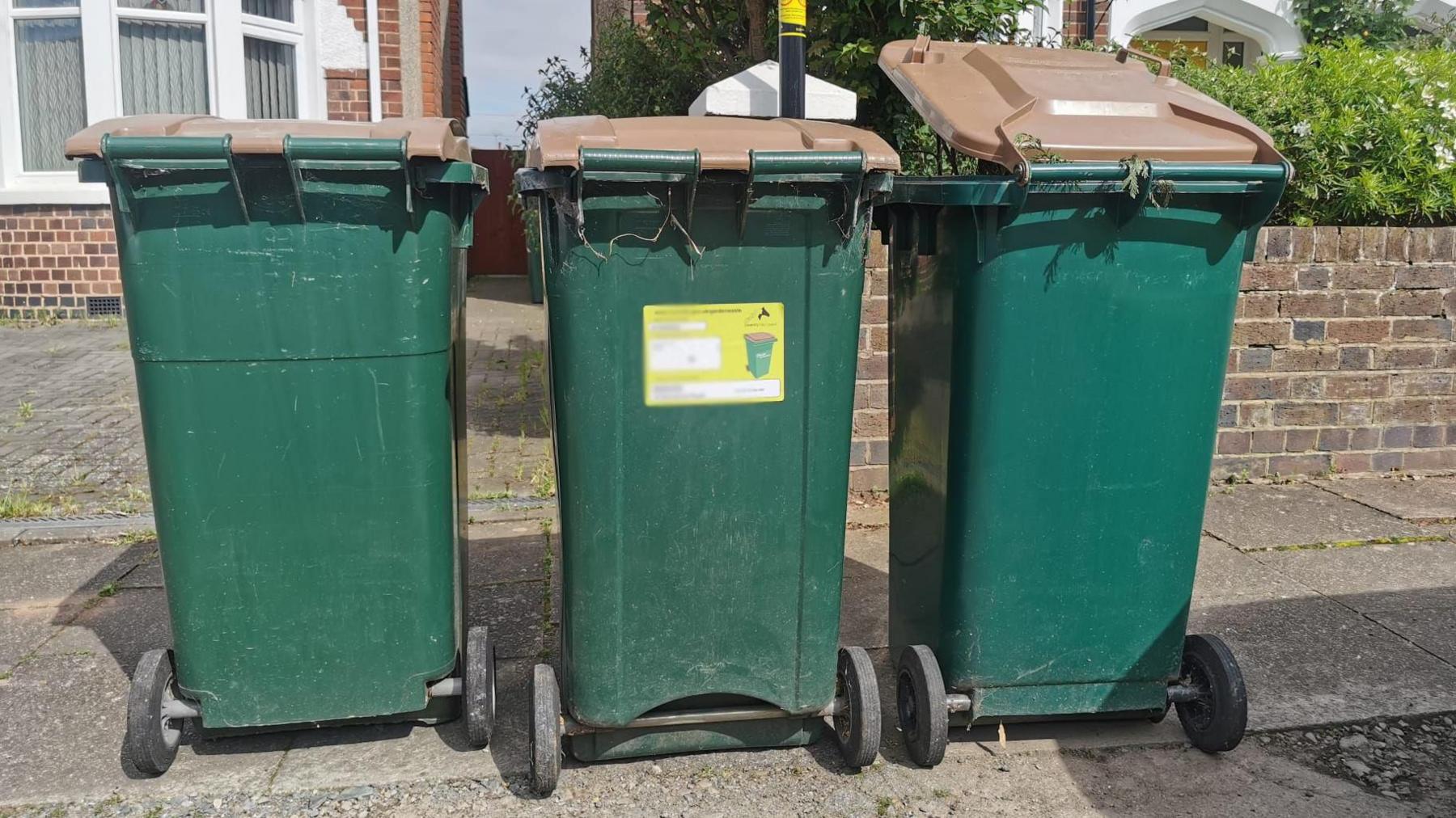 Three green wheelie bins on a pavement