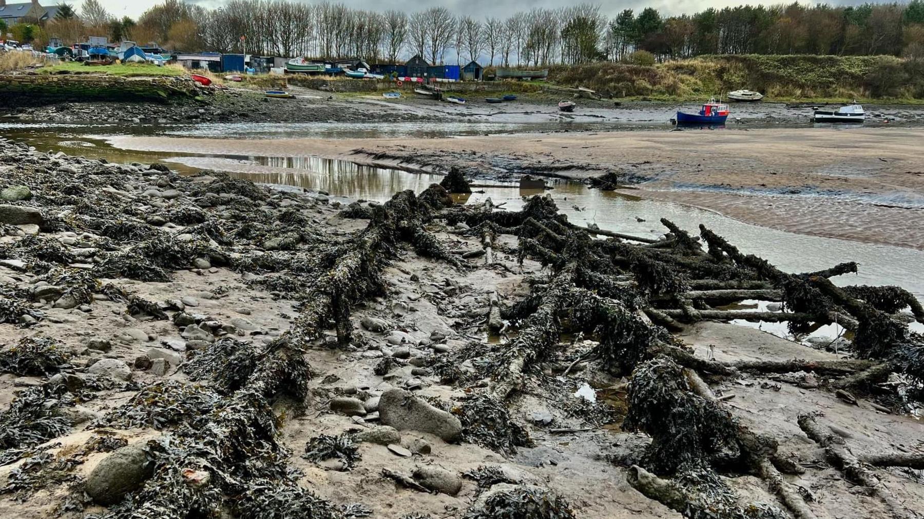 A river estuary at low tide with poles sticking out of the mud and stand. In the distance you can see a boatyard .