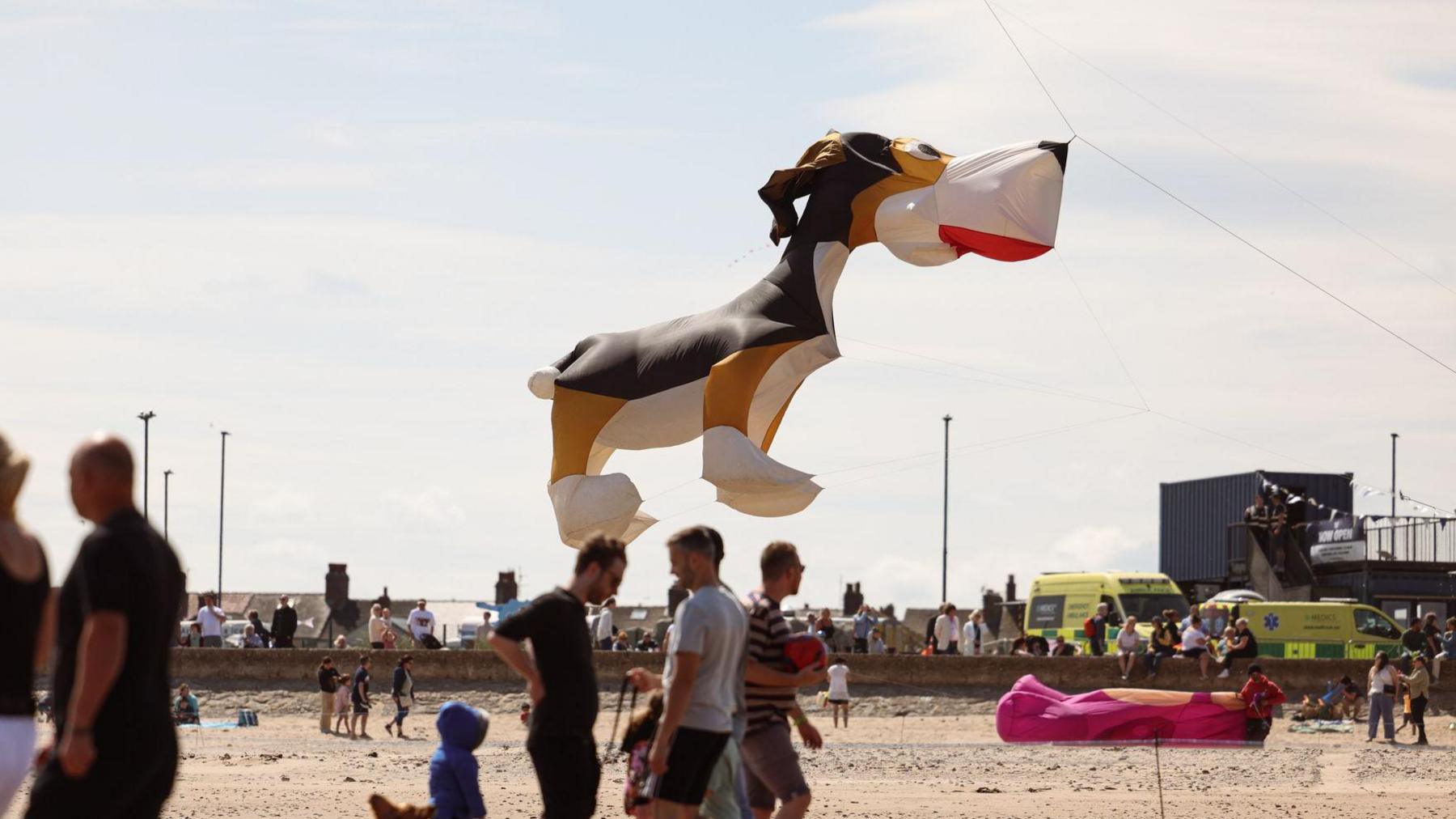 A kite in the shape of a spaniel with a dark brown back and light brown legs and white paws. In the background crowds watch with emergency services on stand-by in the background.