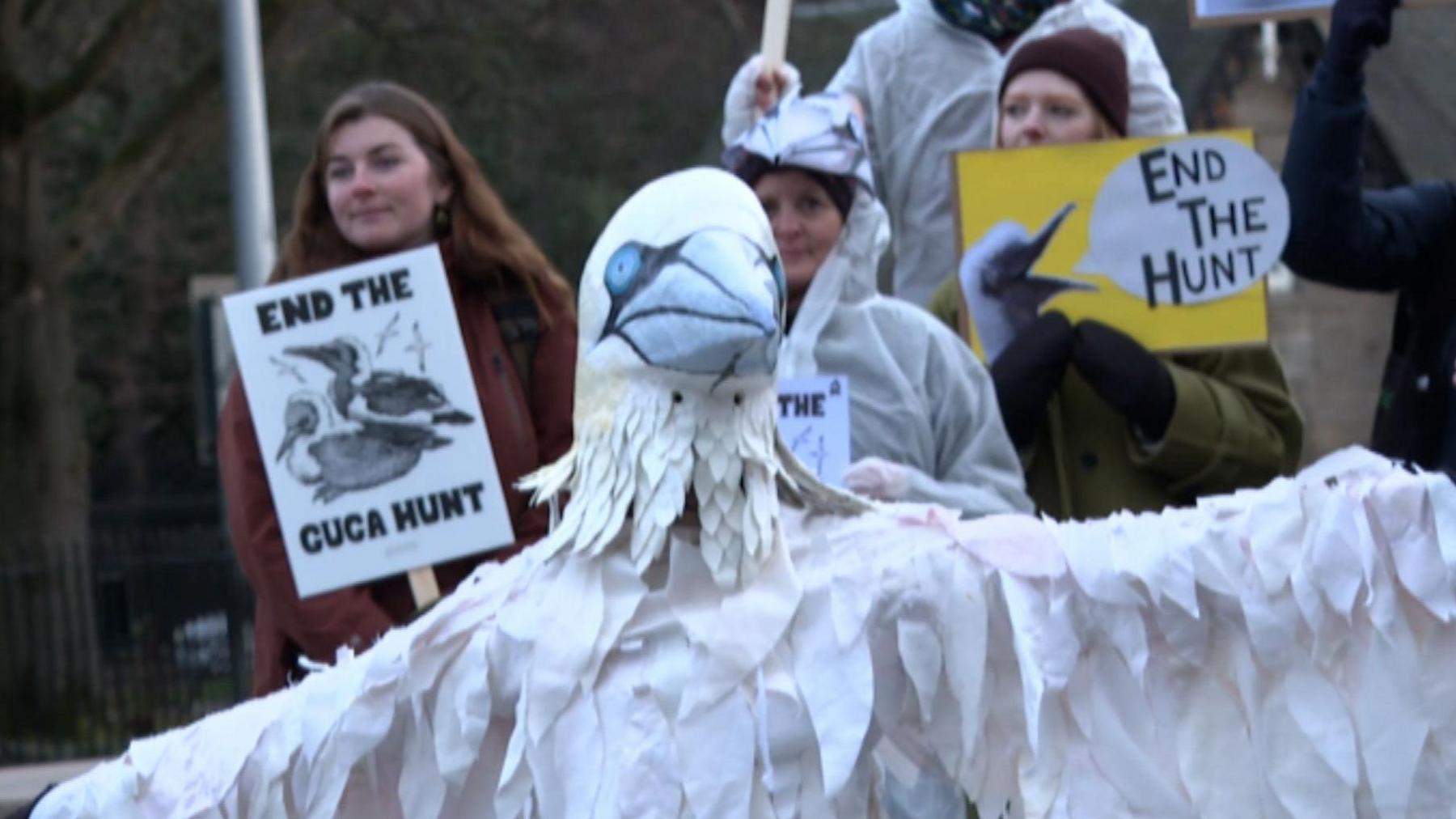 Luchd-iomairt an aghaidh sealg a' ghuga