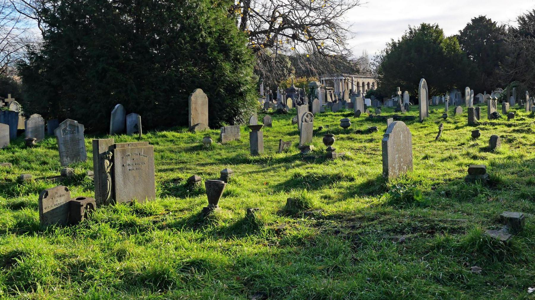 A cemetery with dozens of gravestones poking out of the grass. There are trees and bushes in the background. To the right is a pathway. It appears to be a sunny morning.
