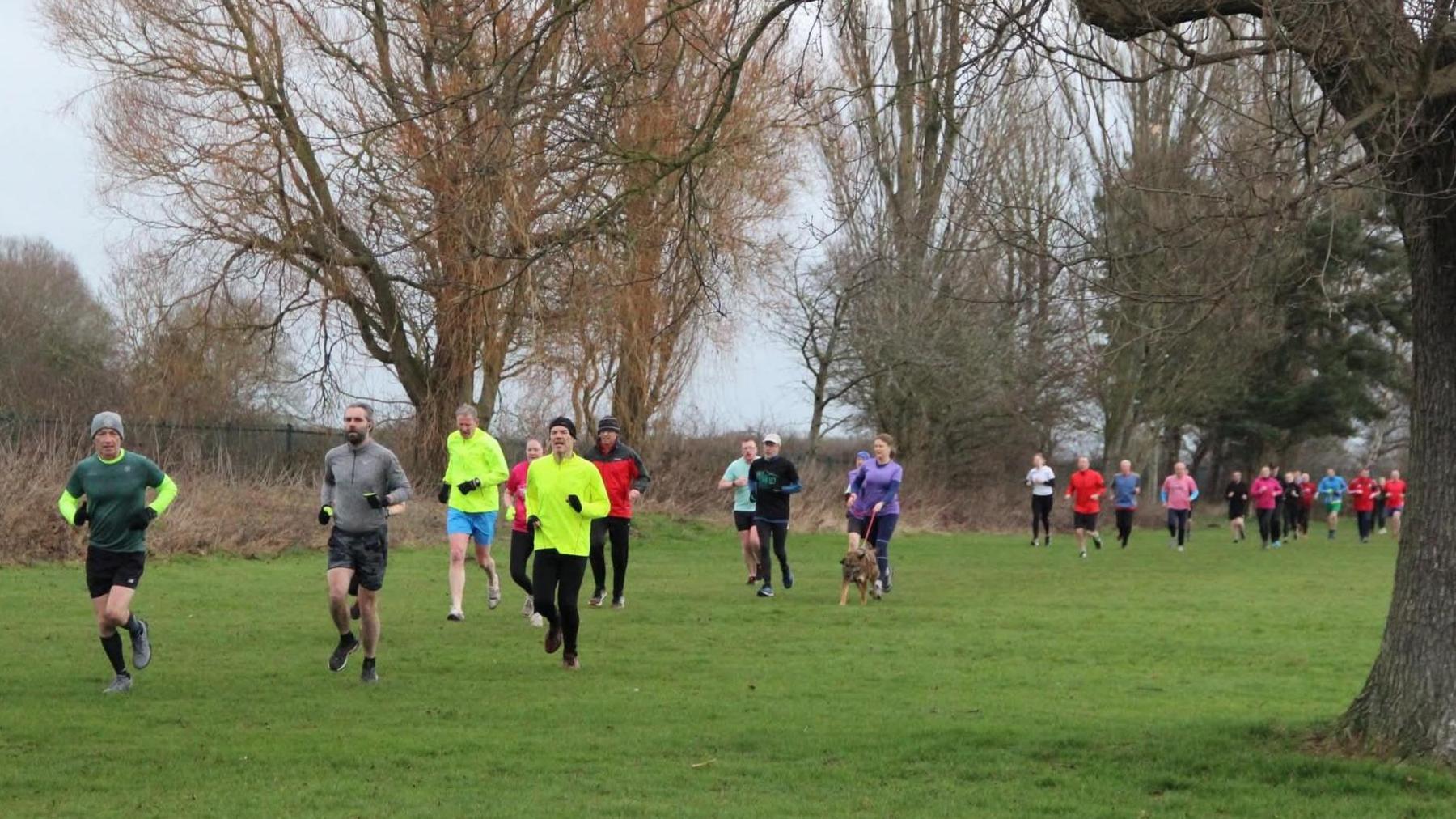 A group of runners, some accompanied by dogs, take part in a community run across a grassy park. They wear varied athletic clothing, including bright neon colours for visibility.