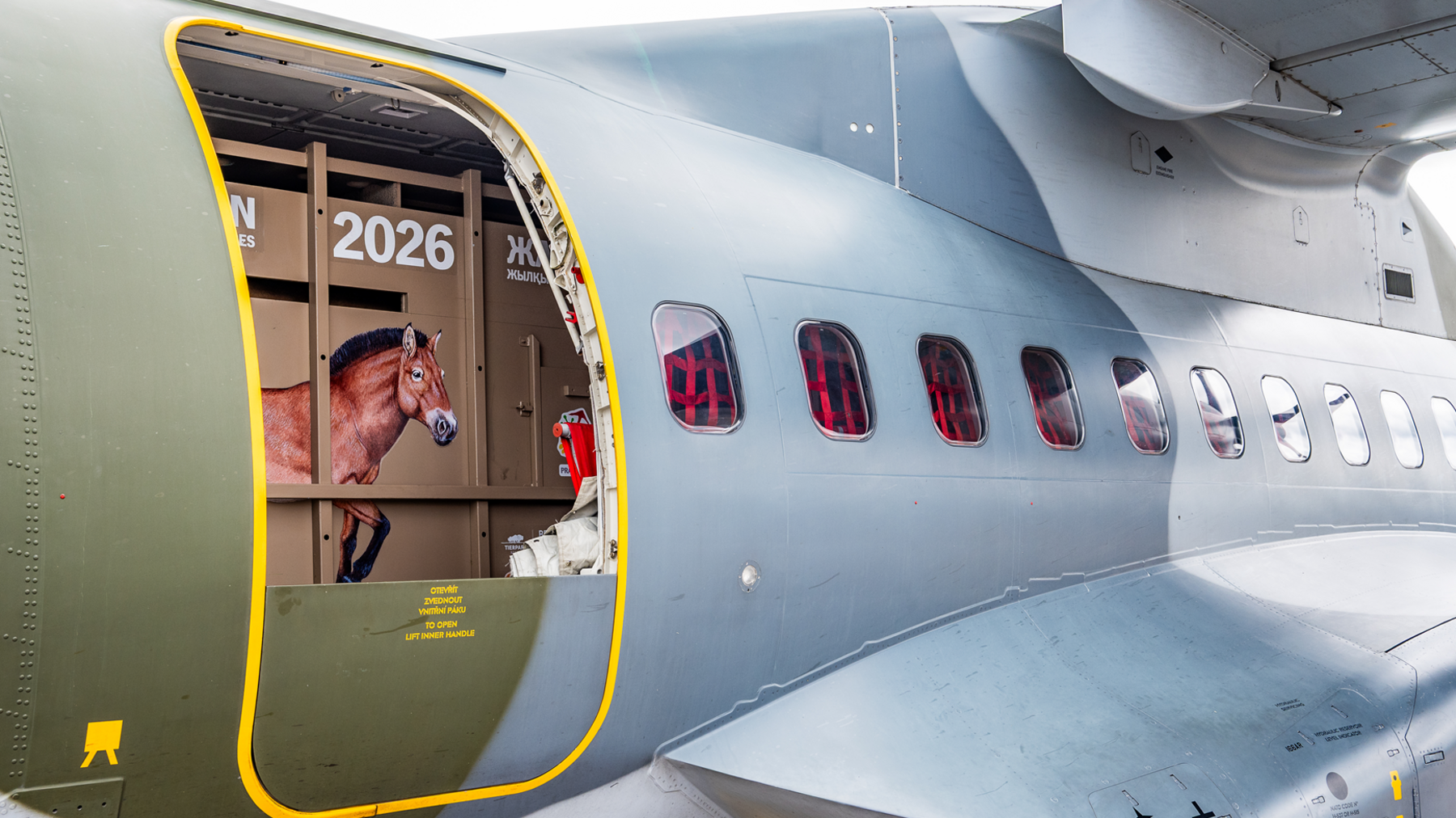 The open door of a plane shows a crate inside with a picture of a horse on it