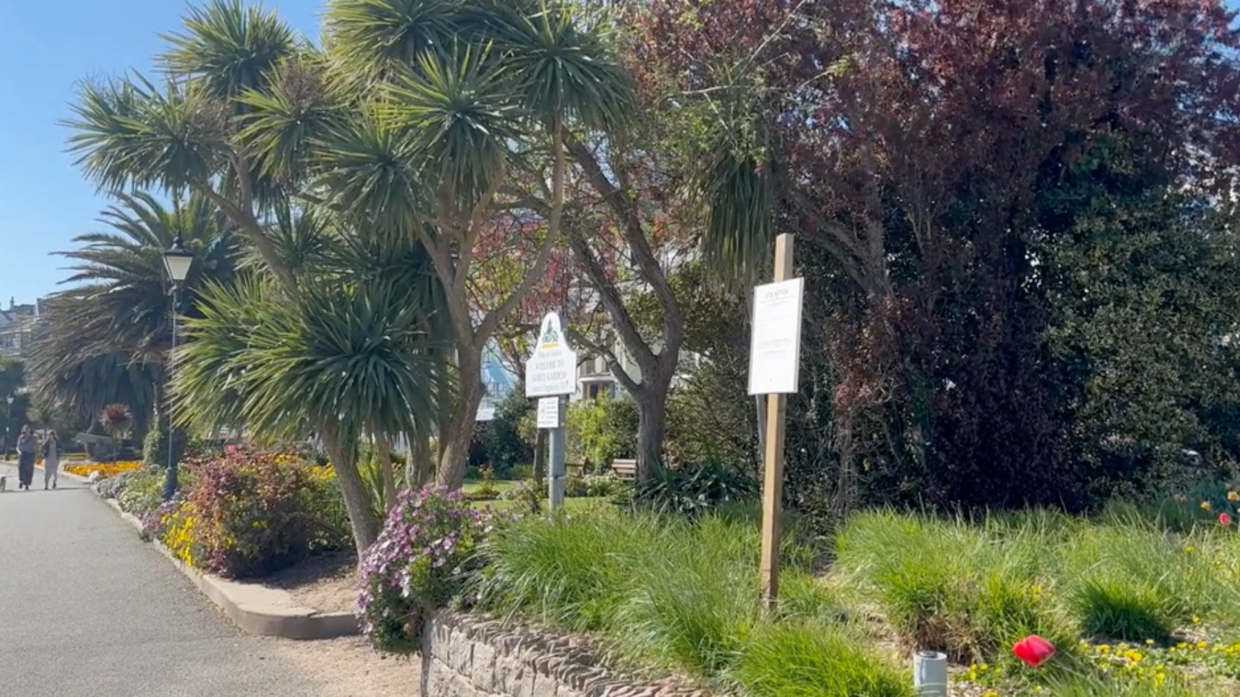 A view of Gorey Promenade Gardens from the pavement. There are large palm trees and sections of grass and flowers. There are two signs on posts but the text is not visible. It is a sunny day.