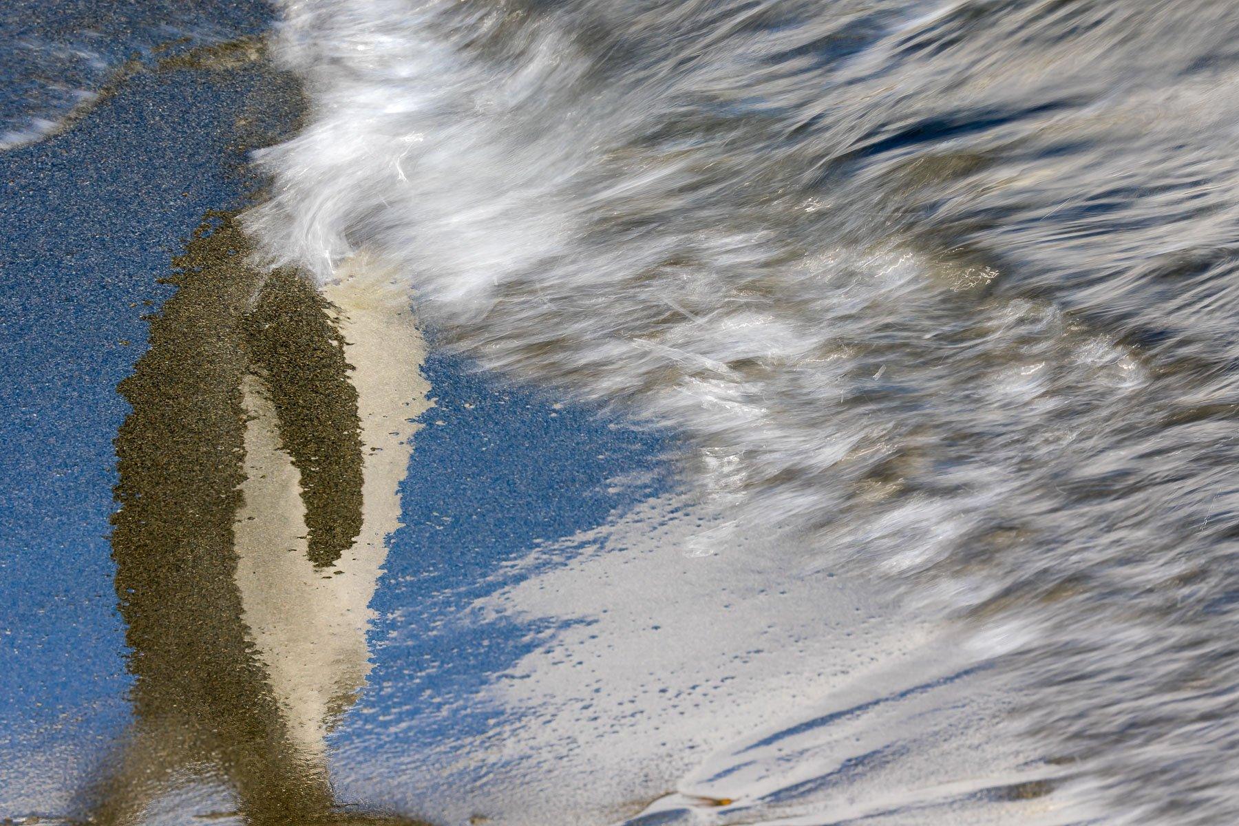 Reflection of a penguin