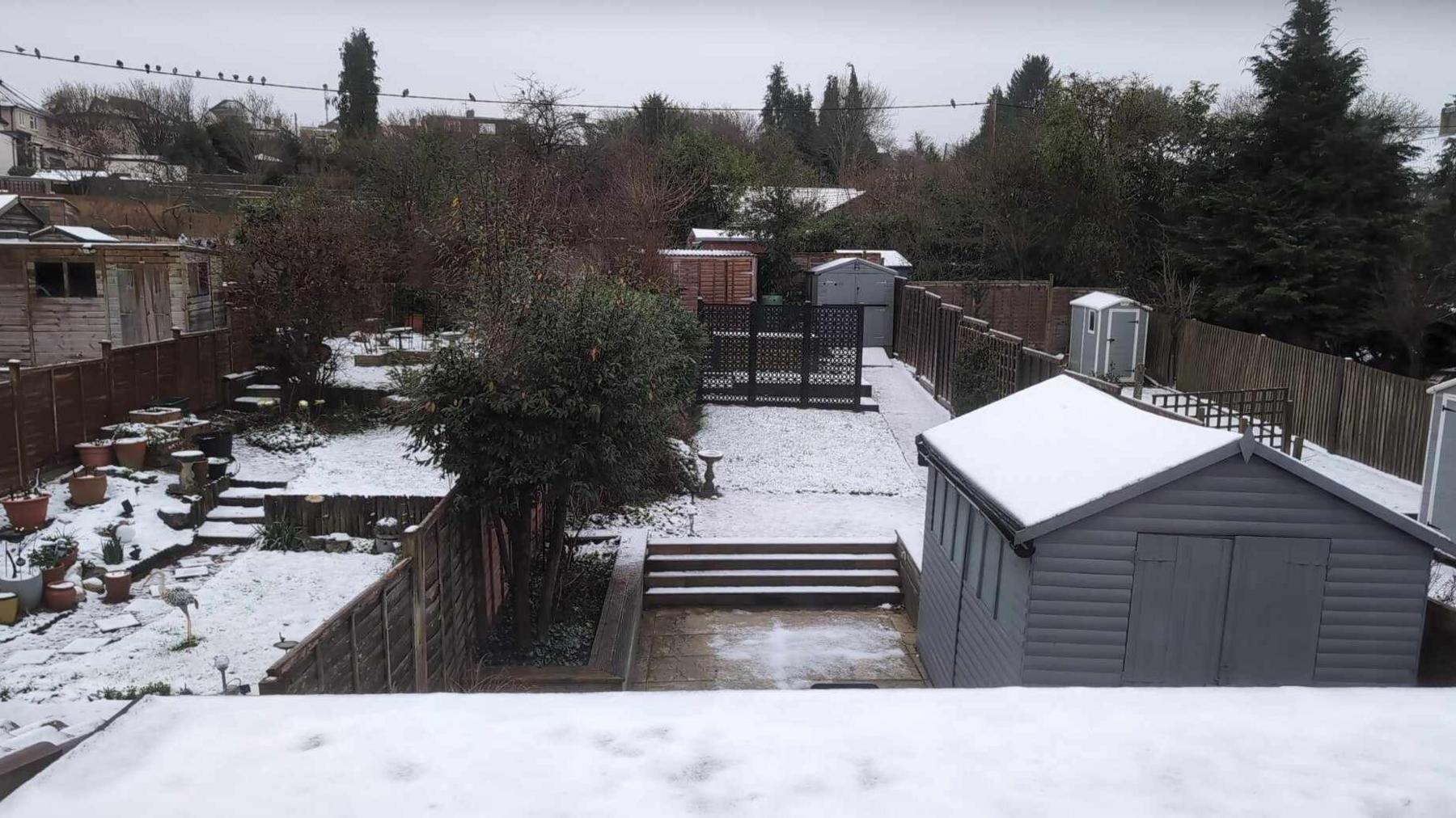 A row of back gardens, with the sheds and lawns covered in a light layer of snow.